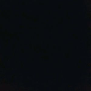 Meet your Posher, Molly