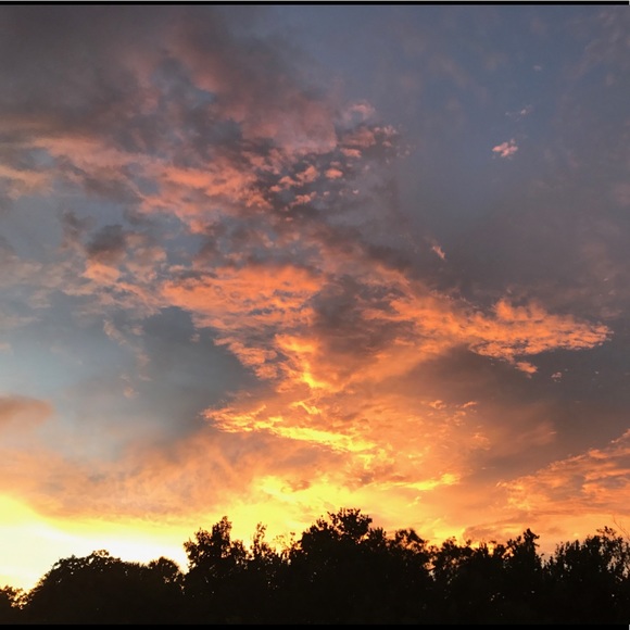 Meet your Posher, Sarah - Picture 1 of 1