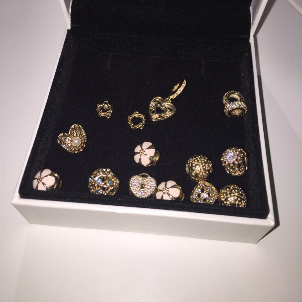 Pandora 14 K Gold charms, spacers and clips!
