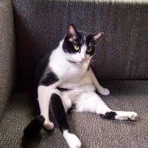 Meet your Posher, Cheryl