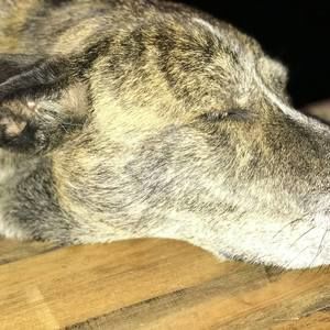 Meet your Posher, Jack