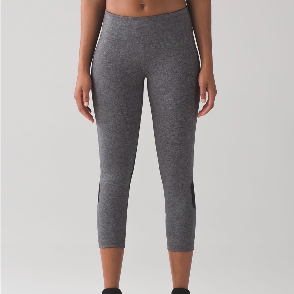 Pace Rival Crop