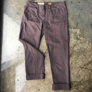 Plum Pilcro and the Letterpress Anthro Crop