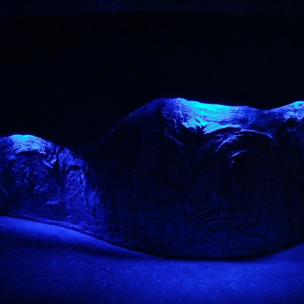 Meet your Posher, Roland