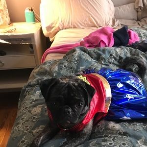 Meet your Posher, Paula