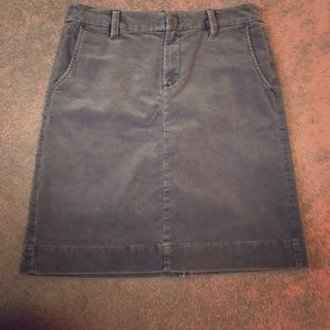 Eddie Bauer skirt