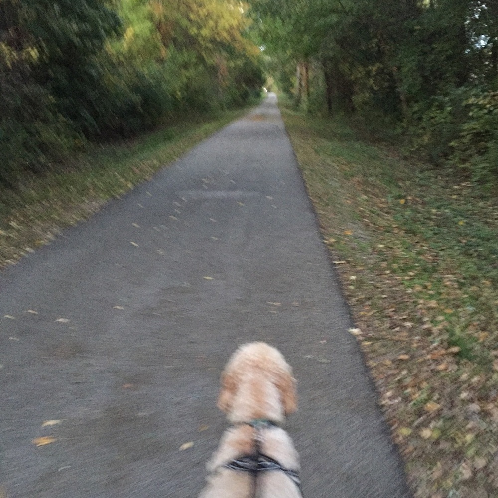 Meet your Posher, Kathy