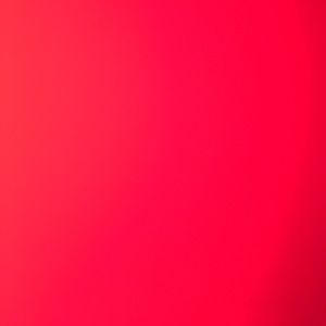 Meet your Posher, Delaney