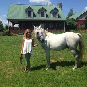 Meet your Posher, Dora