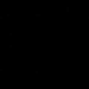 Meet your Posher, Zach