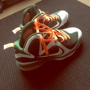 Lebron 9 Miami Hurricane