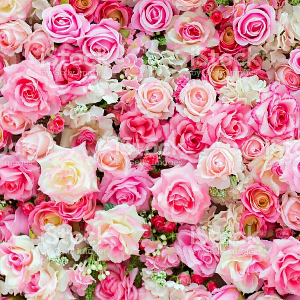 Meet your Posher, Chelsea