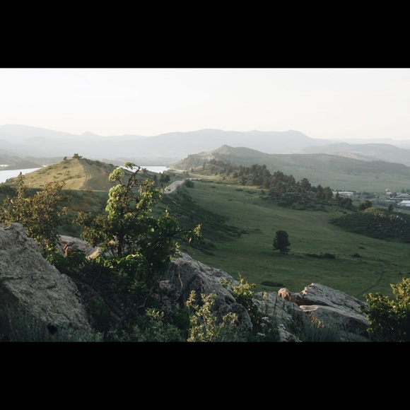 Meet your Posher, Mya - Picture 7 of 8