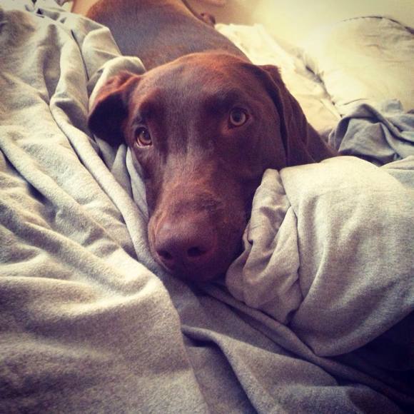 Meet your Posher, Andrew - Picture 1 of 1