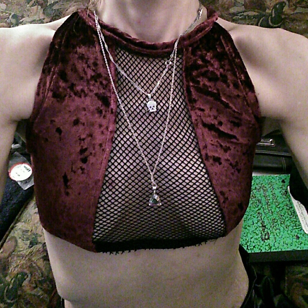 🆕Hollow Out Sexy Mesh Purple Crush Velvet Crop 👕