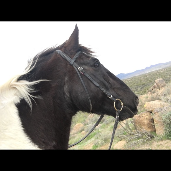 Meet your Posher, Jackie - Picture 1 of 1