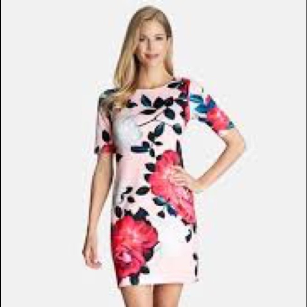CeCe by Cynthia Steffe Romantic Flower Dress