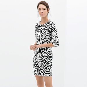 Zara Basic - Zebra Print 1/2 sleeve dress