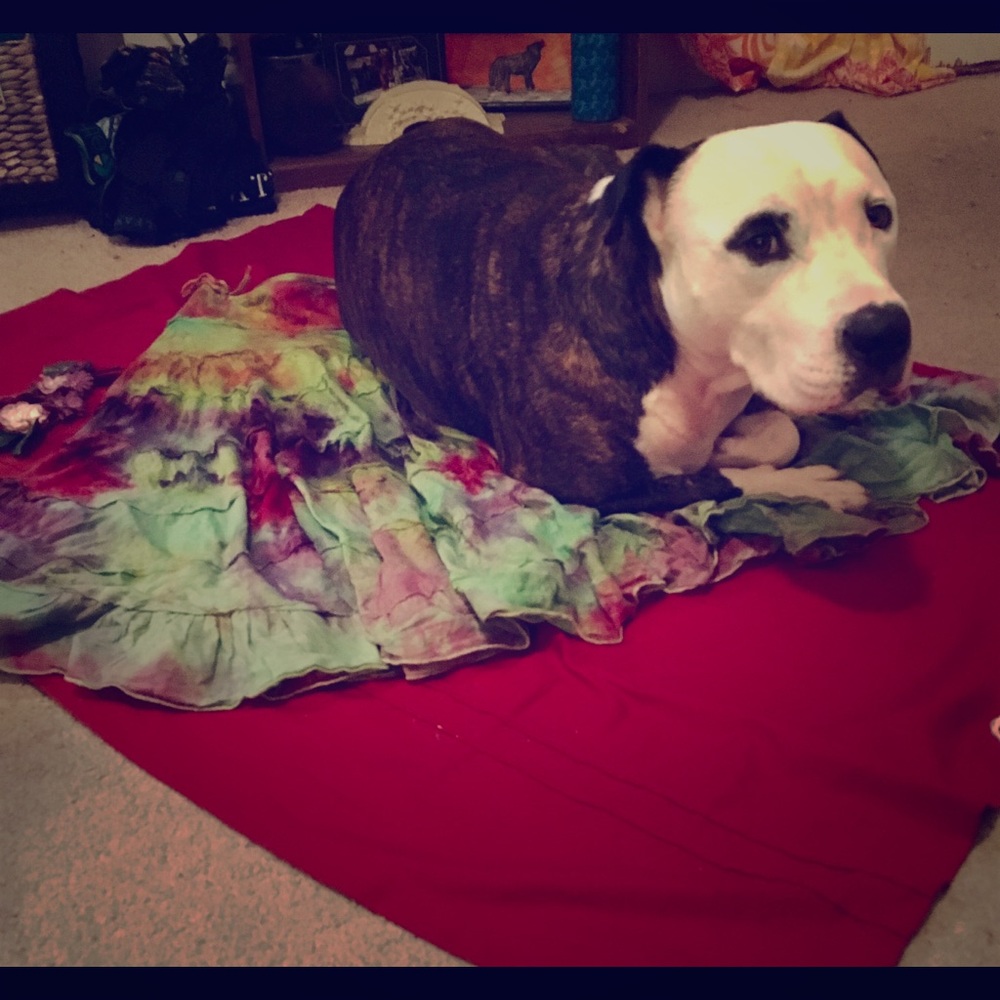 ☮HOMEMADE TIE-DYES COMING SOON!☮ ⬆️ExamplesAbove⬆️ - Picture 4 of 5