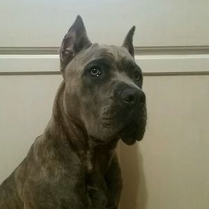 Meet your Posher, Loren