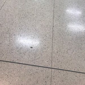 Meet your Posher, Kerry