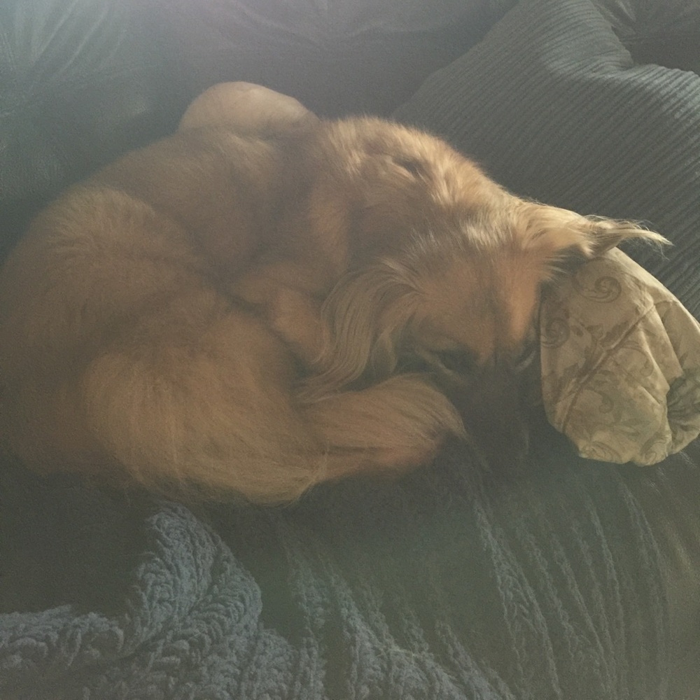 Meet your Posher, Debi