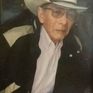 Meet your Posher, Bonita