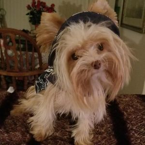 Meet your Posher, Vickie jean