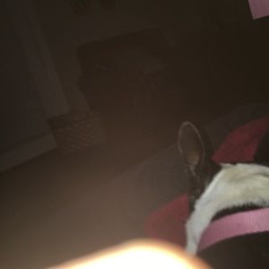 Meet your Posher, Grace