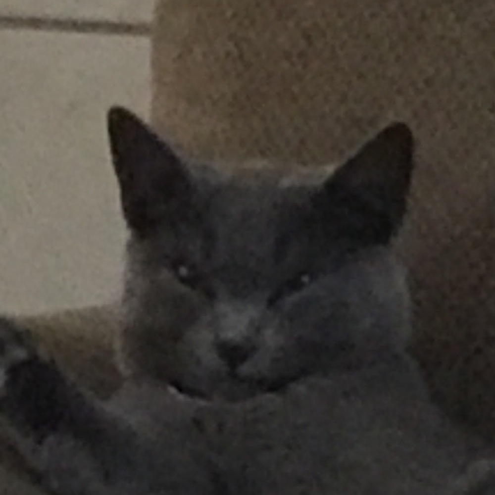 Meet your Posher, Jael