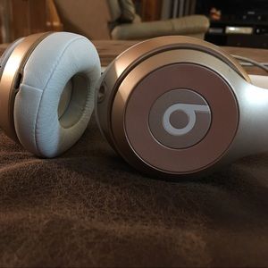 Meet your Posher, Molly