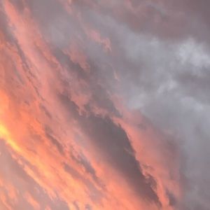 Meet your Posher, Brynne