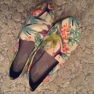 Tom's Birds of Paradise Shoes