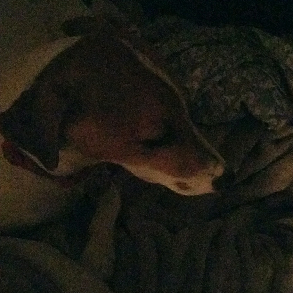 Meet your Posher, Gioia