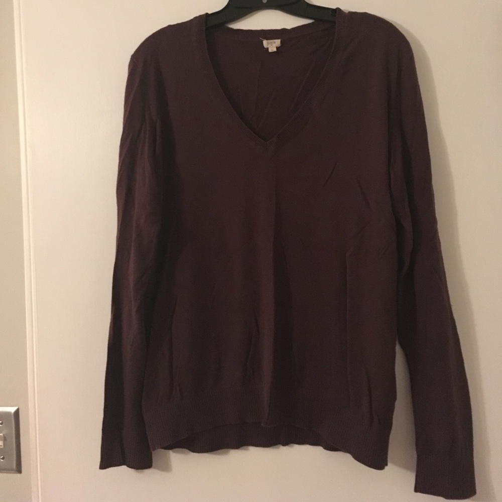 J. Crew V-Neck Brown Sweater