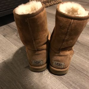 Chestnut uggs