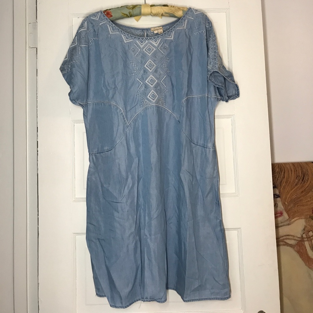 DENIM DRESS ANTHROPOLOGIE HOLDING HORSES