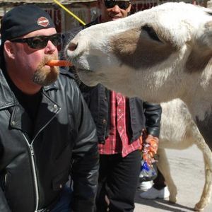 Meet your Posher, Tim