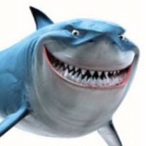 Meet your Posher, Bruce