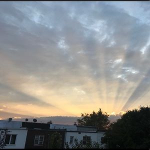 Meet your Posher, Qi