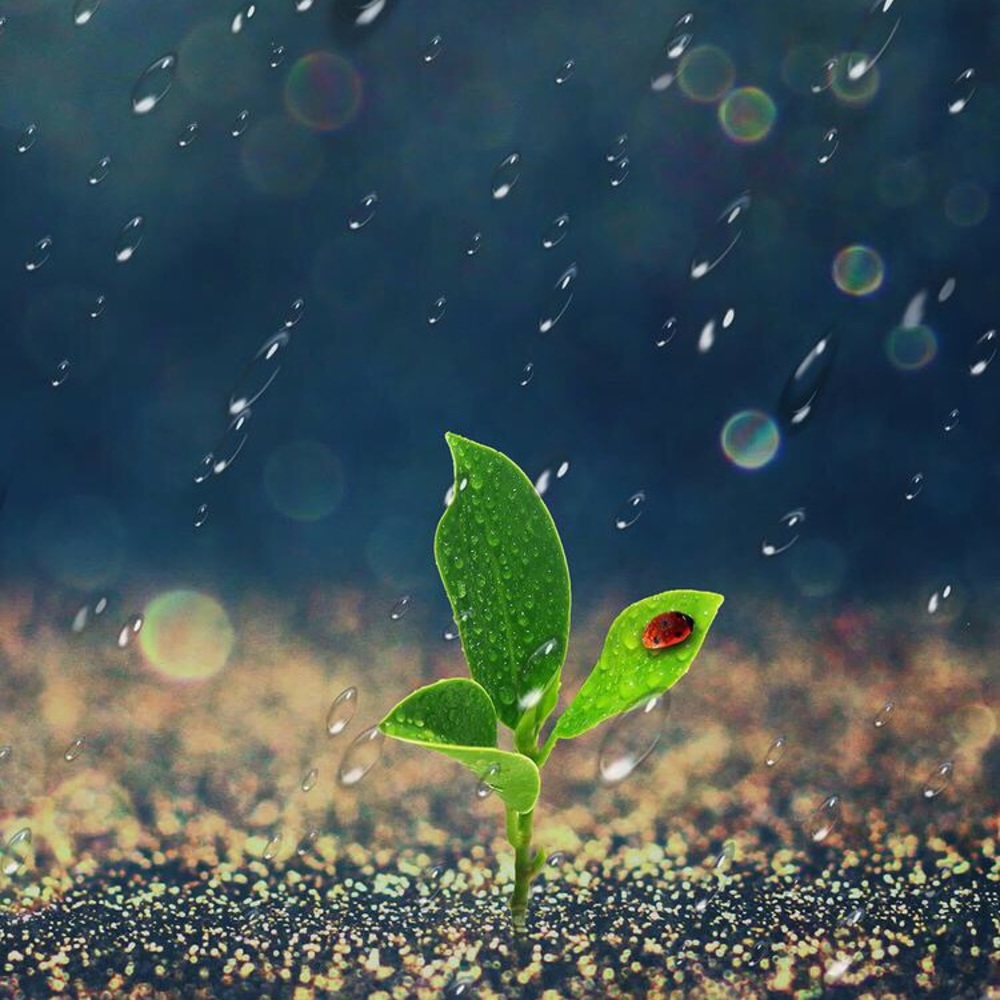 Meet your Posher, Davon