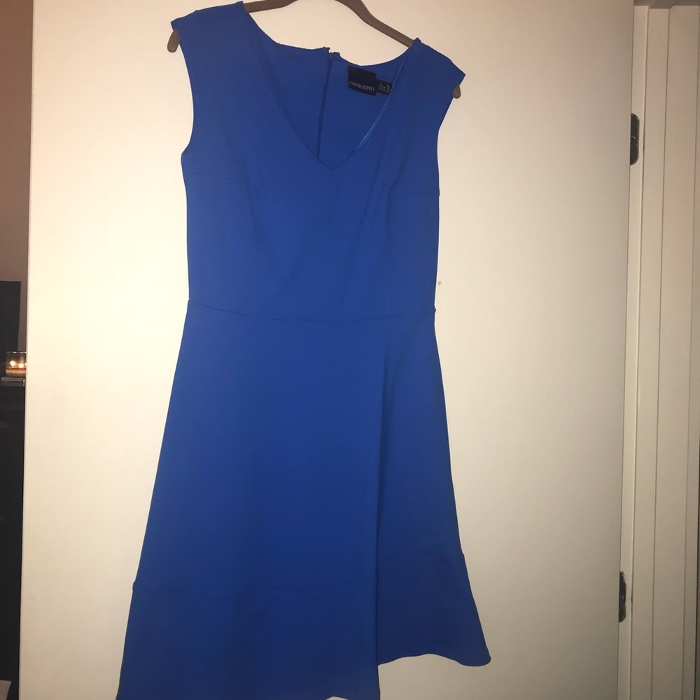 Cynthia Rowley blue dress