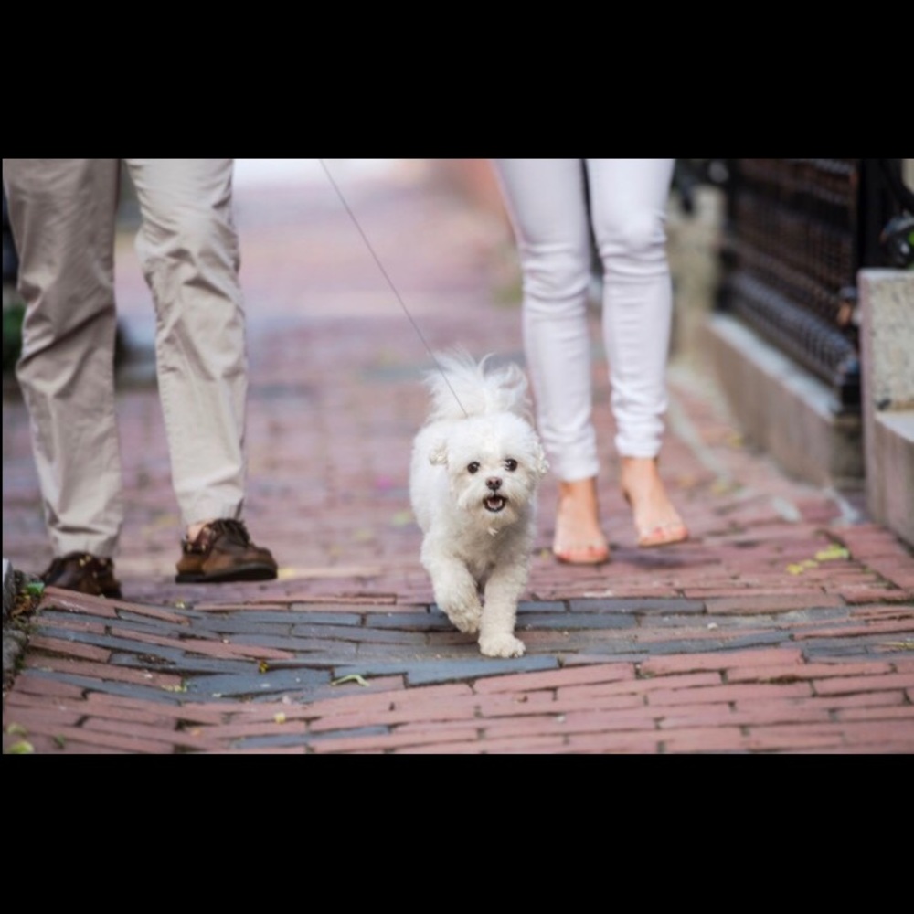 Meet your Posher, Michele