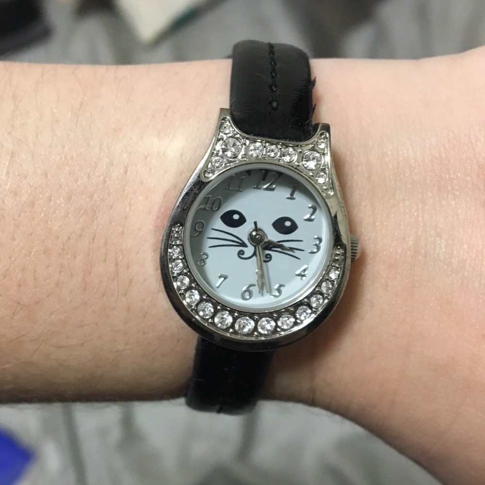 Cat watch