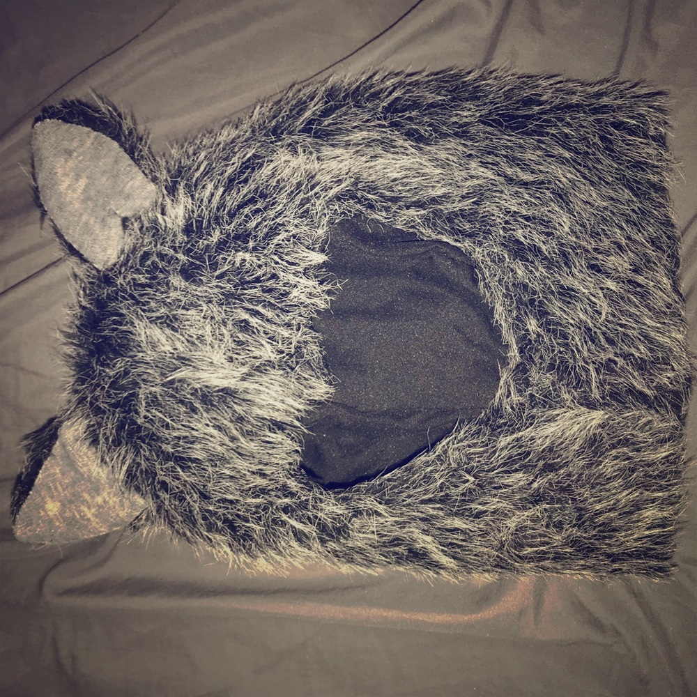 Homemade cat hat