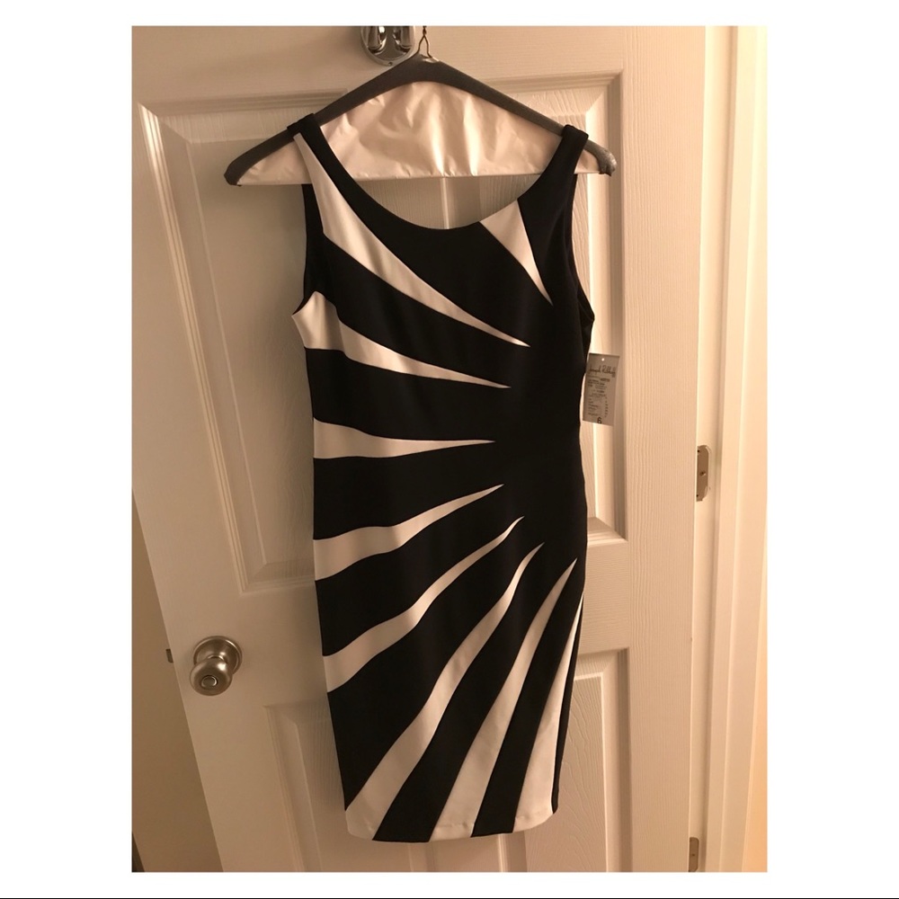 Joseph Ribkoff dress