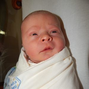 Meet your Posher, Carla