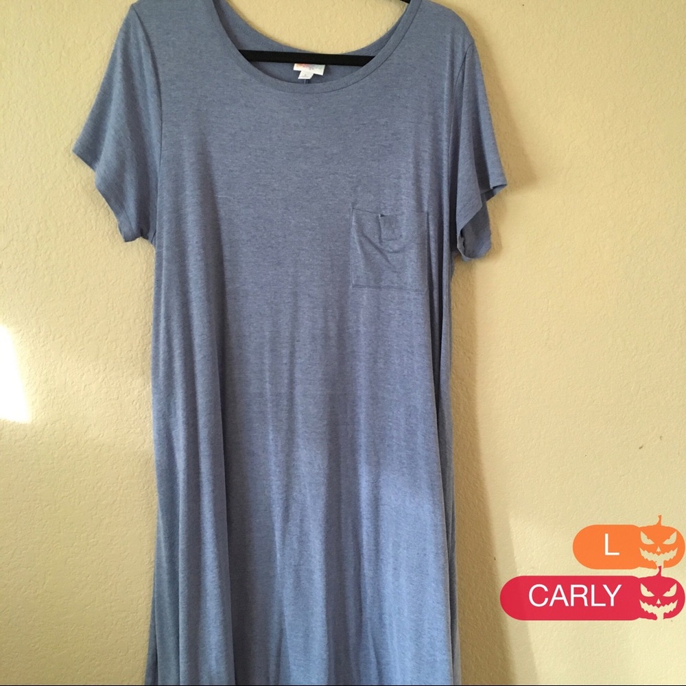 EUC lightweight Swing Dress