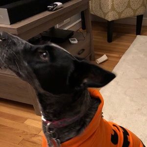 Meet your Posher, Greg