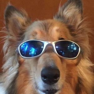 Meet your Posher, Alan